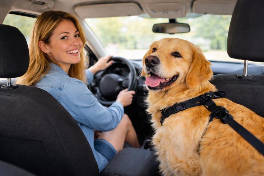Transportar pets no carro